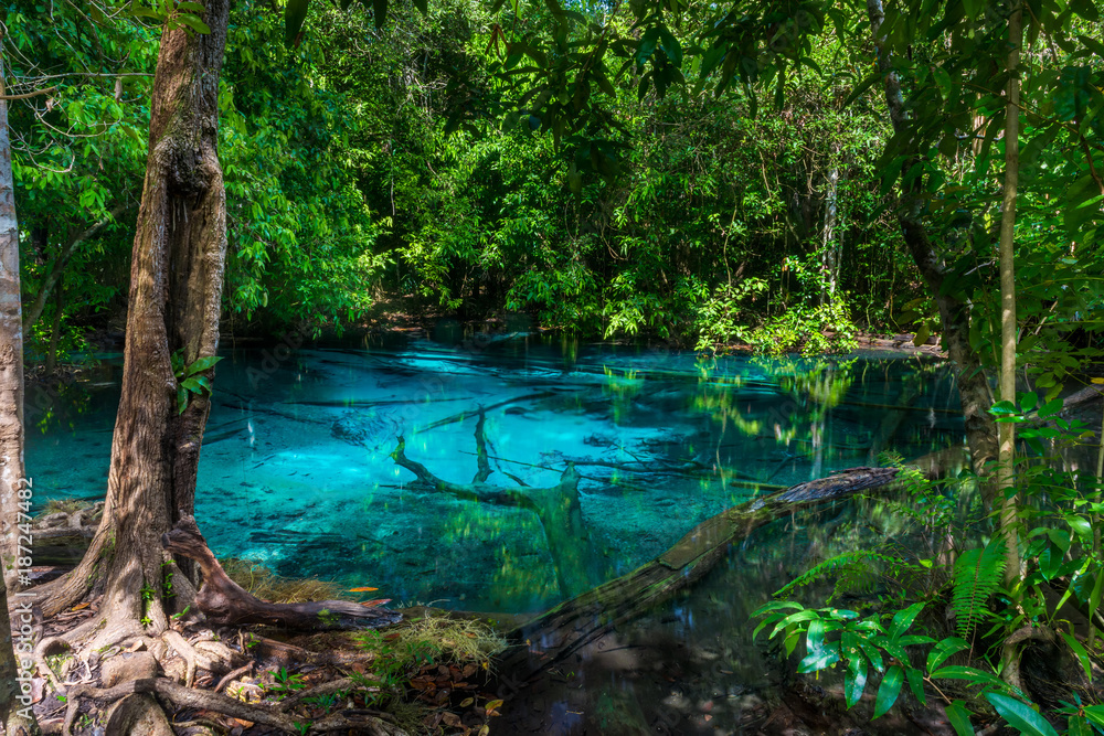 Fototapeta premium A picturesque blue lake in the jungle of Thailand in Krabi