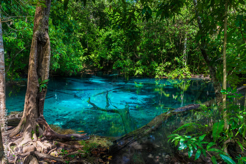 Fototapeta Naklejka Na Ścianę i Meble -  A picturesque blue lake in the jungle of Thailand in Krabi