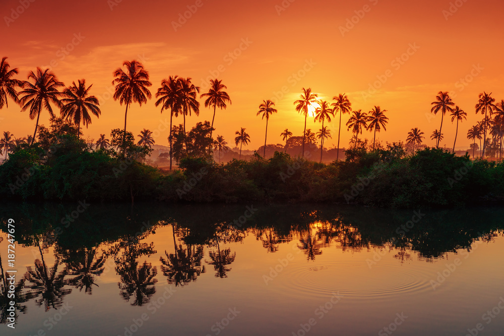 Fototapeta premium rows of palm trees reflected in a lake at dawn. Tinted in red.