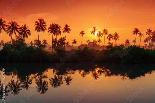 rows of palm trees reflected in a lake at dawn. Tinted in red.