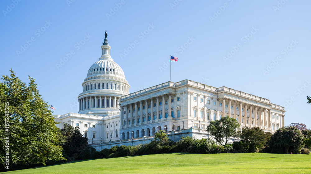 US Capitol in Washington DC