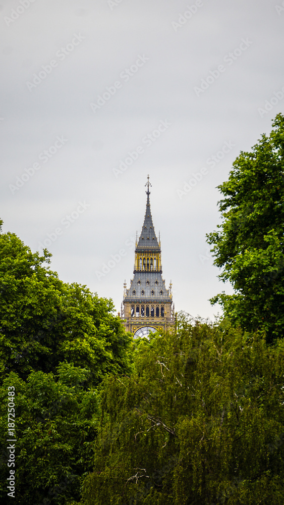 Fototapeta premium Big Ben above the tree top