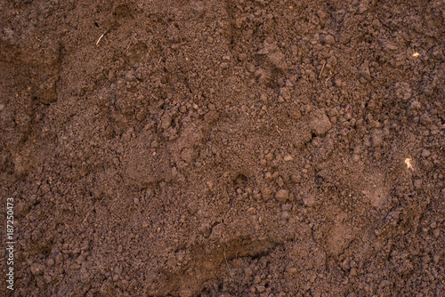 Sandy loam - soil background, texture photo