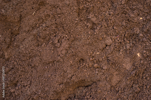 Sandy loam - soil background, texture