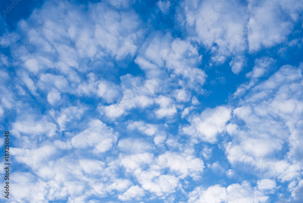 Beautiful spring blue sky with white feather clouds