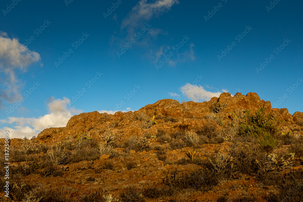 Mountain Peak with cactus vegetation, at Astronomic Observatory in Temisas, Gran Canaria. Mountain Peak with cactus vegetation, at Astronomic Observatory in Temisas, Gran Canaria.