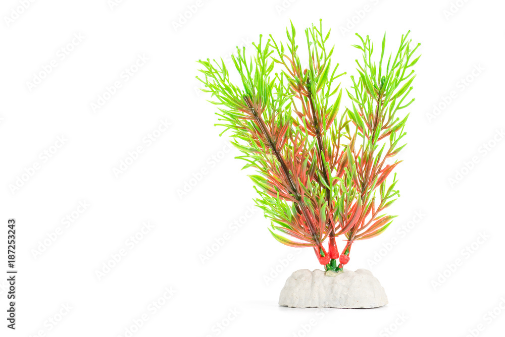 artificial aquarium plants isolated on white background Photos Adobe