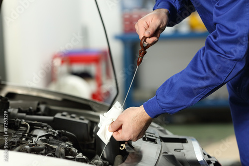 Tablou pe pânză Car mechanic checking oil level