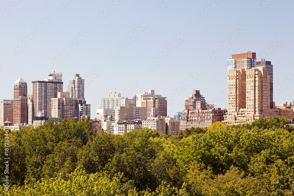 A rare view of NYC skyline from central park