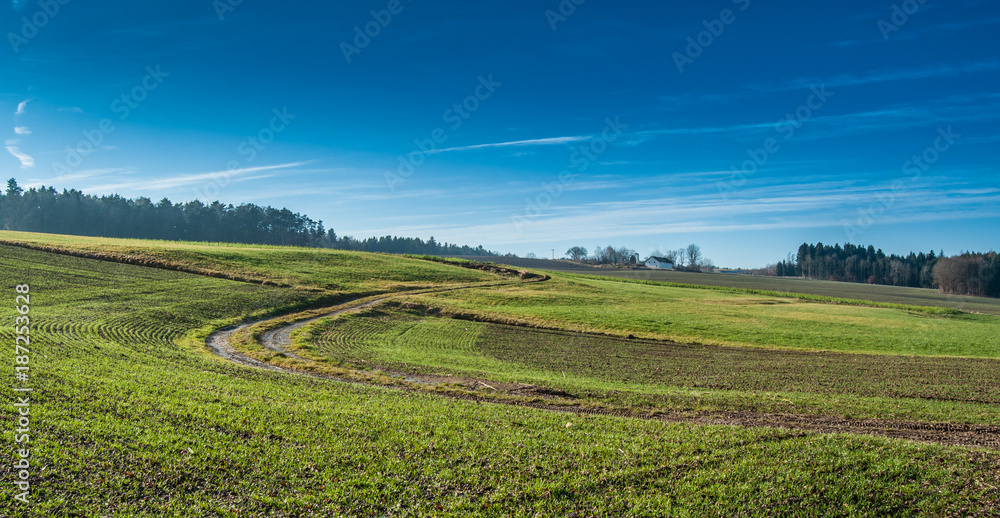 rural landscape rural landscape