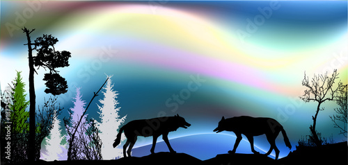 Canvas Print Northern landscape with aurora and two wolves and silhouettes of trees