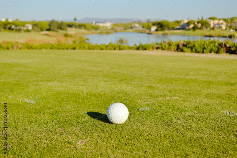 Golf course green grass field and lake trees on sunny day outdoors background Golf course green grass field and lake trees on sunny day outdoors background