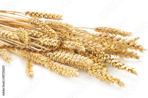 sheaf of ripe wheat ears isolated on white background