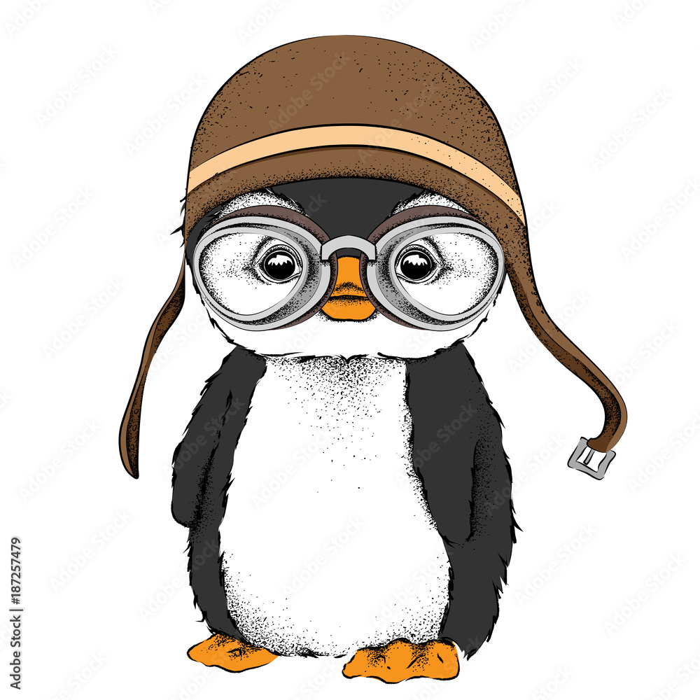 penguins helmet