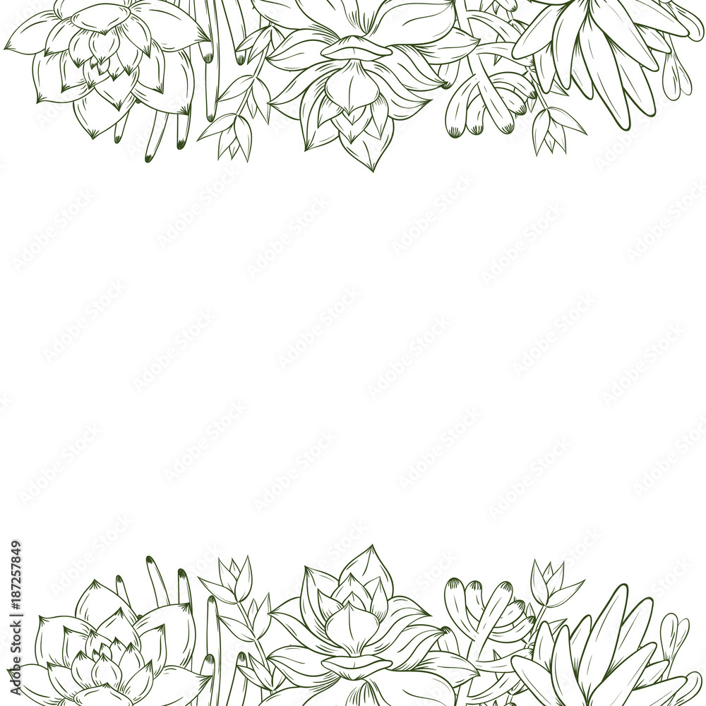 Hand drawn succulent frame on whit background. Vector illustration.