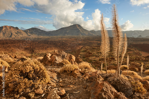 Landscape of Tenerife Hinterland