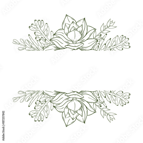 Card design with succulent plants. Vector illustration.