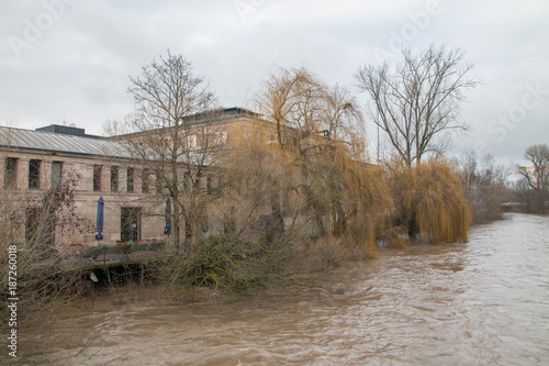 Willow tree on the shore of Rednitz river, Fuerth, Bavaria, Germany, Europe photo