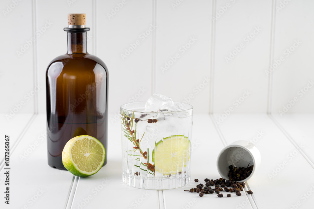 gin and tonic alcohol drink cocktail glass ice fruit garnish plain black white background