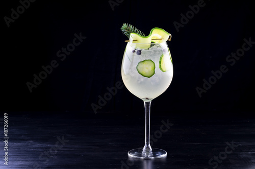 gin and tonic alcohol drink cocktail glass ice fruit garnish plain black white background