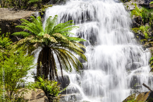 Beautiful Fainter Falls closeup in native Australian Forest. Kiewa Valley, Victoria, Australia