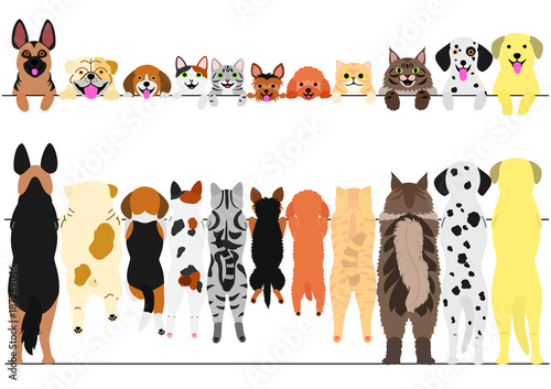 standing dogs and cats front and back border set © Studio Ayutaka