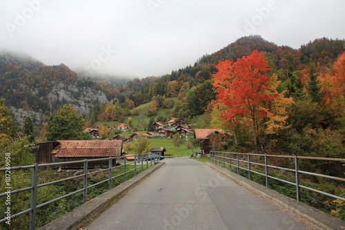 Glyssen, small village near Brienz. Autumn scene in Switzerland. Road and colorful trees. Nature background.