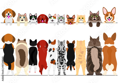 standing small dogs and cats front and back border set