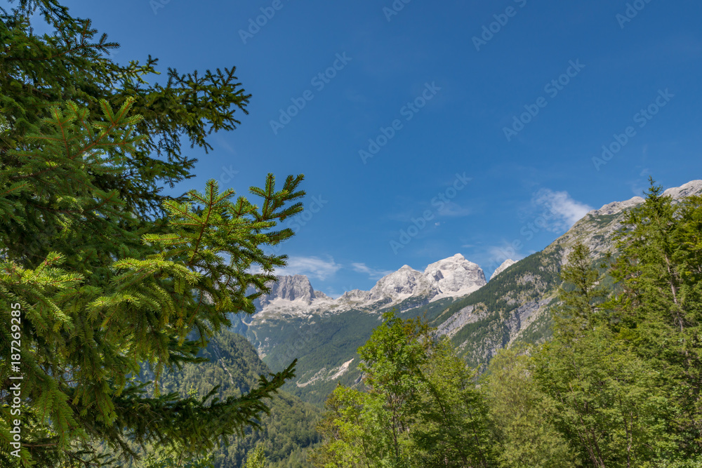 Obraz premium Kranjska Gora / Słowenia 18, 2017: Okolice przełęczy Vrsic latem