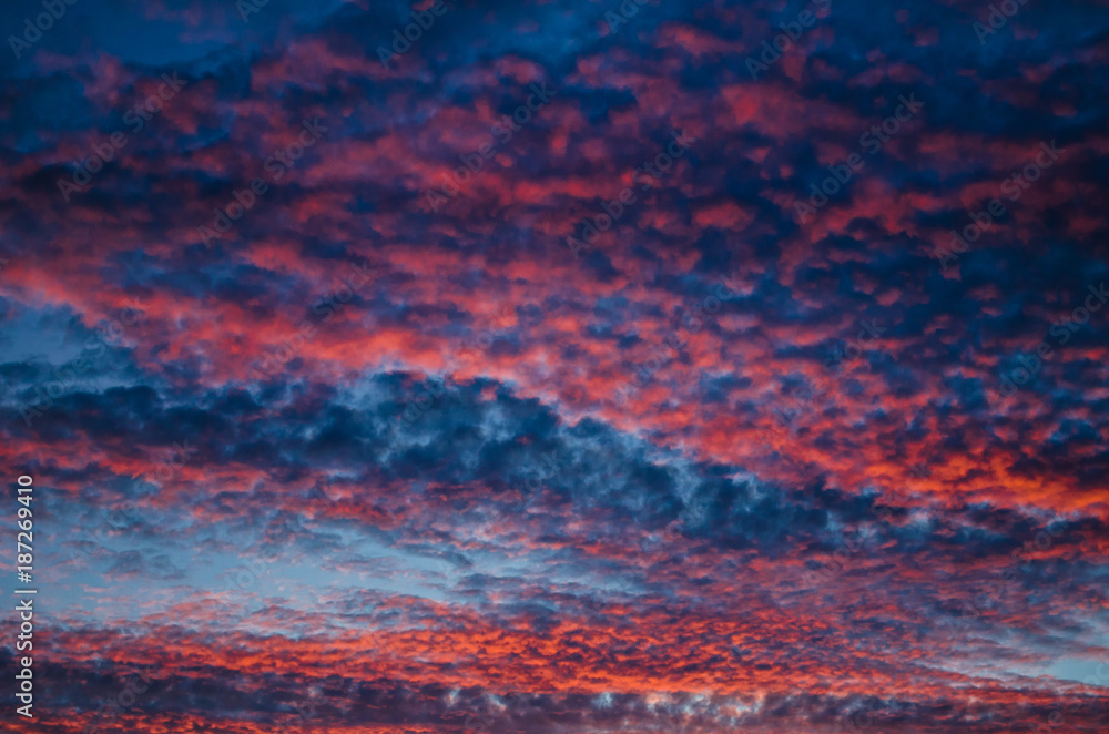 Fototapeta premium Red and Blue Clouds at Sunset