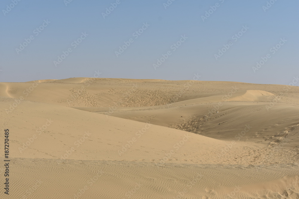 sam sand dunes in thar desert jaisalmer rajasthan india