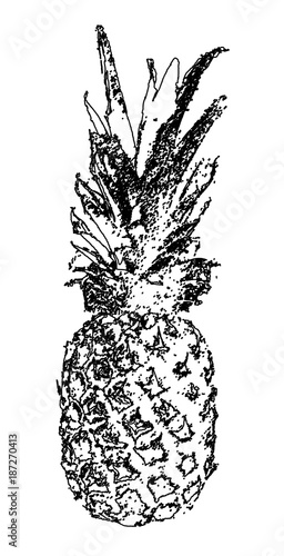 Fototapeta Naklejka Na Ścianę i Meble -  Vector Single Sketch Pineapple