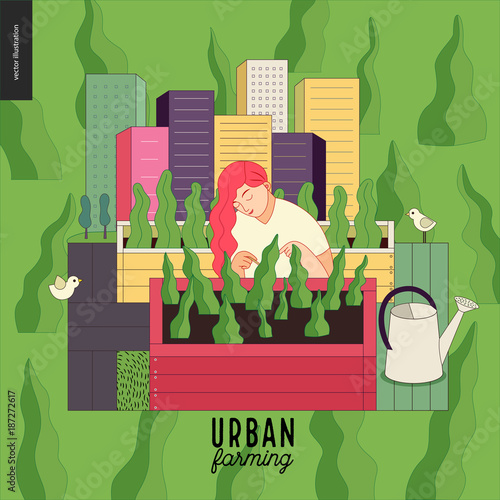 Urban farming, gardening or agriculture. A woman looking after the plants growing in the wooden box, surrounded by gardening tools, with a city tower buildings on the background