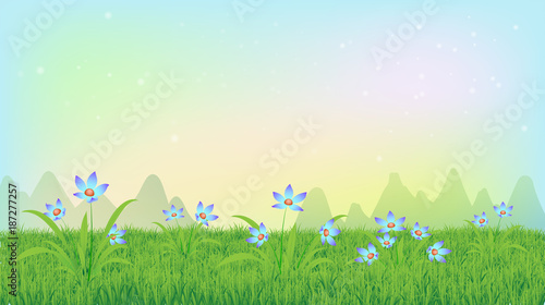 field of blossom flowers and green grass background  vector illustration eps10