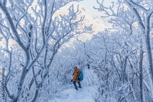Photography Hiking in the winter with trekking photo