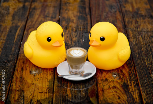 Duckies Sharing a Cortado