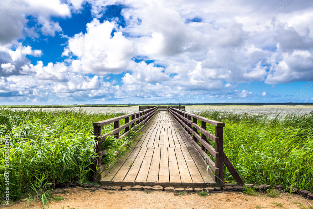 Wooden bridge over lake, panoramic vista of green spring grass and sky with blue and clouds