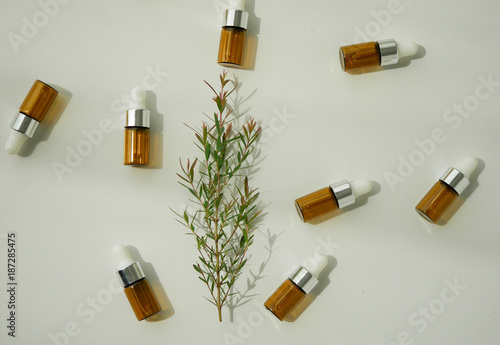 natural cosmetic skincare serum packaging with leaf, home made oil and beauty vitamin ingredient.organic product research the blank bottle container ,bio science . alternative medicine. spa.