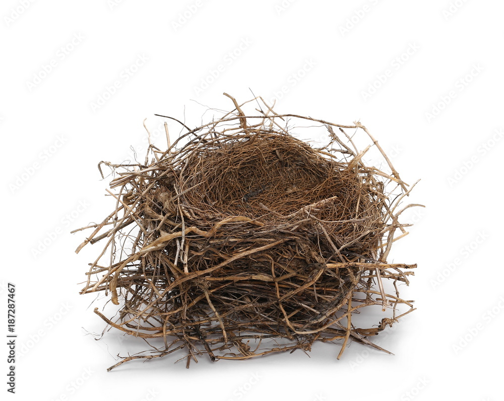 Fototapeta premium empty bird nest isolated on white
