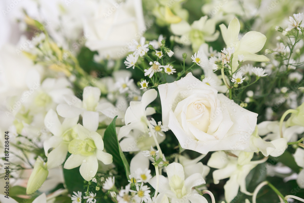 White roses for background.Valentine Concept.