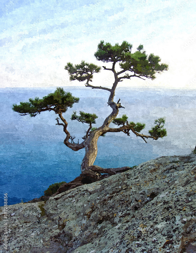 Big green pine tree on the seaside cliff.