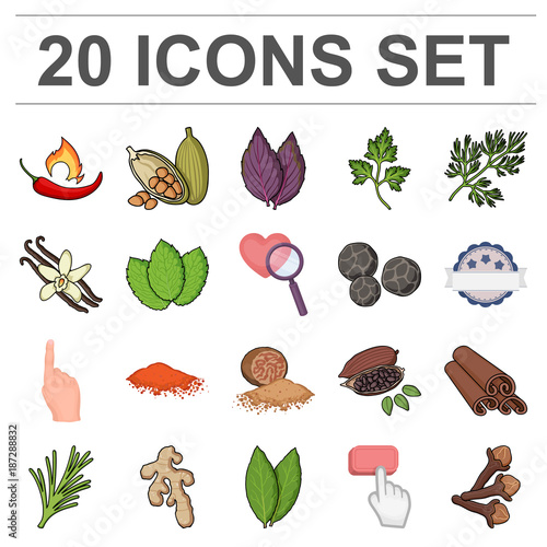Herb and spices cartoon icons in set collection for design.Different kinds of seasonings vector symbol stock web illustration.