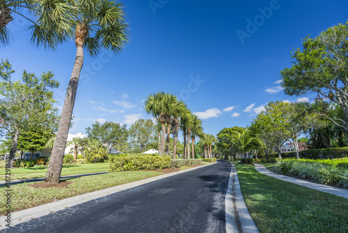 Gated community road with palms in South Florida  United States