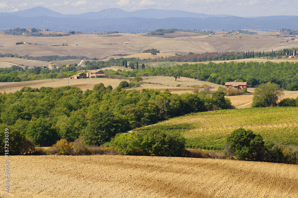 September sunny day in Tuscany. Italy
