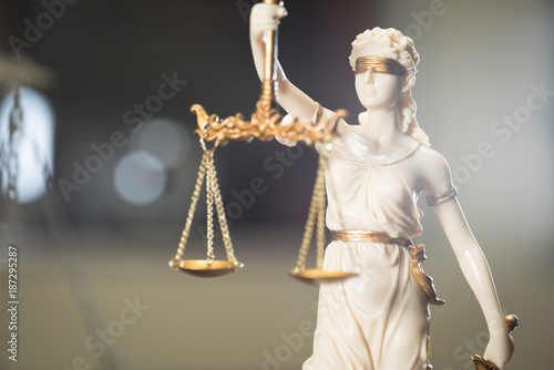 Photography Law and Justice concept image