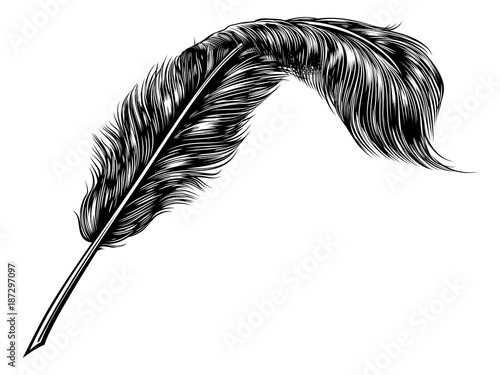 Feather Quill Pen