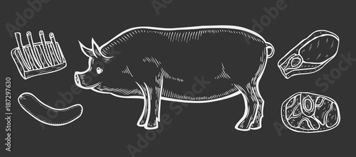 pork Meat ham cuts