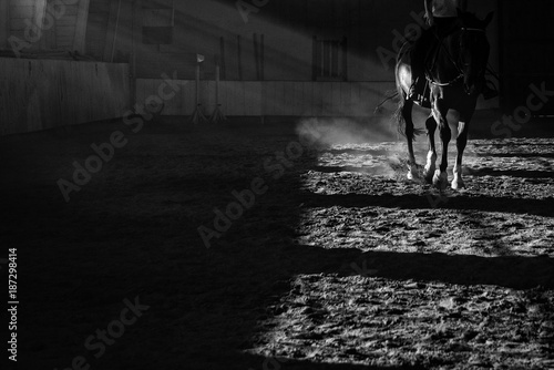 Details of a horse training with sun rays and dust inside a horseback riding school