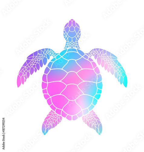 Colorful turtle. Vector illustration
