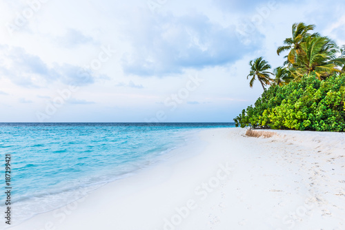 Fototapeta Naklejka Na Ścianę i Meble -  On a white sand beach in paradise. Tropical island in the ocean. Palm trees on white sand beach. Maldives. A great place to relax.